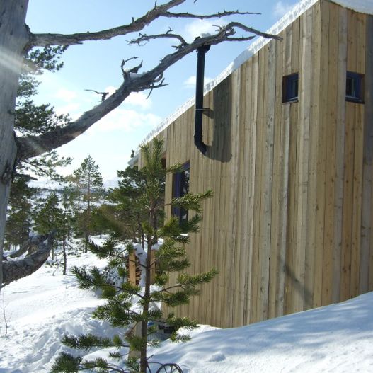 Trevegg i snøen