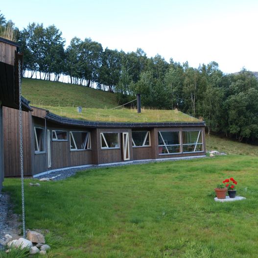 Bolig med torvtak