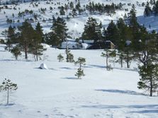 Hytte i snø går i ett med naturen