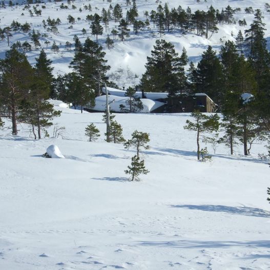 Hytte i snø går i ett med naturen