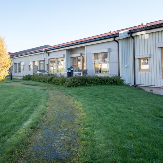 Rekke med hus og stort uteområde